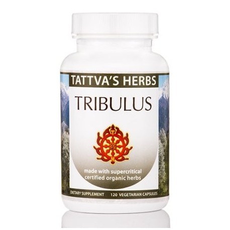 Tribulus Orgánica - 120 cápsulas vegetales por Tattva's Herbs