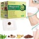 MUGWORT BELLY PATCH 40 PARCHES