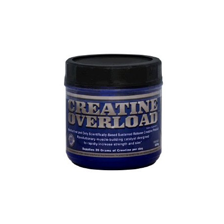 CREATINE OVERLOAD (600GR)