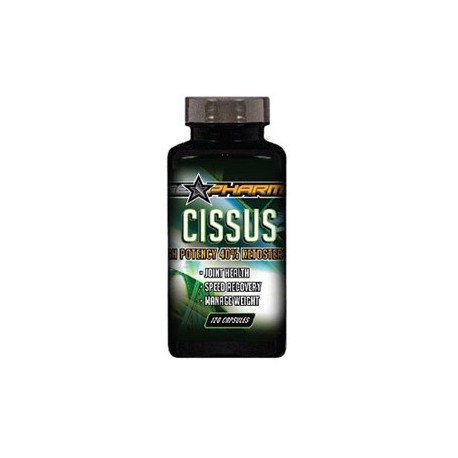 CISSUS - ARTICULACIONES - ANTIINFLAMATORIO (120 CAPSULAS)