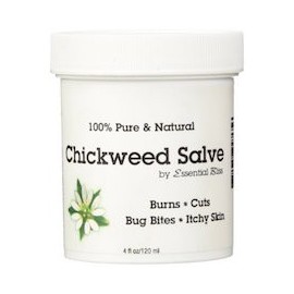 CHICKWEED SALVE - ALIVIO DEL PICOR DE LA PIEL (120 ML)