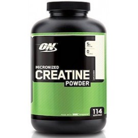 OPTIMUM NUTRITION CREATINE POWDER 600G