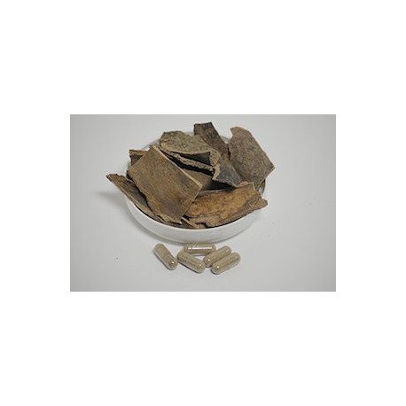 BOIS BANDE HERBAL 50 CAPS
