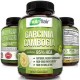 PURE GARCINIA CAMBOGIA EXTRACT 95% HCA 90 CAPS