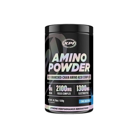 AMINO POWDER 530 GRAMOS