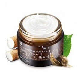 MIZON SNAIL REPAIR PERFECT CREAM 50ML