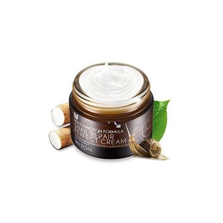 MIZON SNAIL REPAIR PERFECT CREAM 50ML