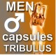 TRIBULUS TERRESTRIS BULGARIAN 50 CAPS