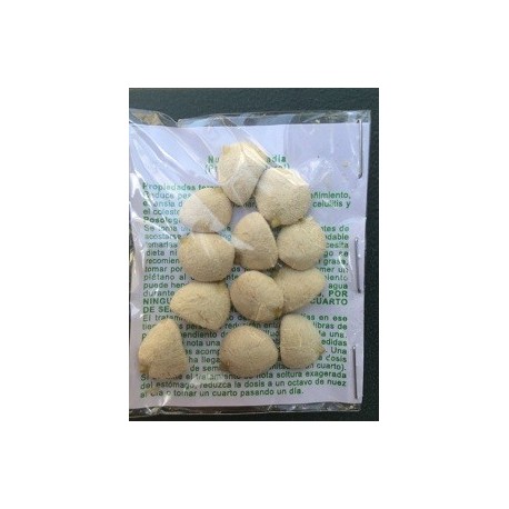 NUEZ DE LA INDIA SEMILLA ADELGAZANTE 12 PARA 48 DIAS DE CURSO