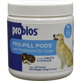 Probios Pods píldora la mantequilla de cacahuete - Large