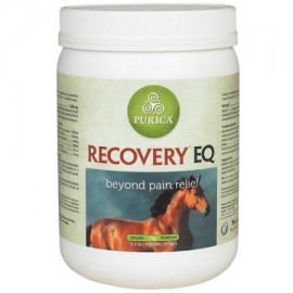 Recovery EQ 2.2 lbs