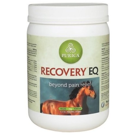 Recovery EQ 2.2 lbs