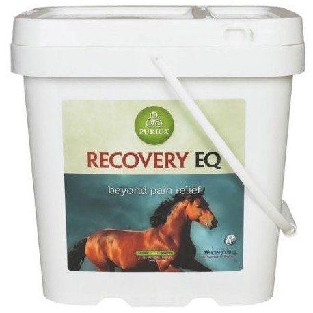 Recovery EQ 11 lbs