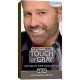 Just For Men Touch of Grey Color de cabello el bigote y la barba del kit luz y Mediana Brown B-25-35 1 ea (paquete de 4)