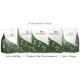 GreenPacks Acai Berry (orgánica) Supplement 60 cápsulas