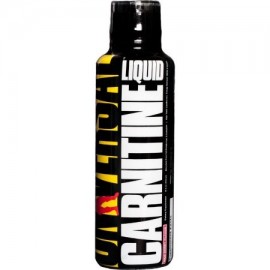 Universal Nutrition Carnitine Liquid - 31 Porciones Wild Berry (L-Carnitina)