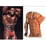 Packs Body Building