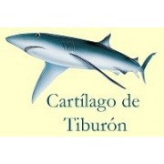 CARTILAGO DE TIBURON